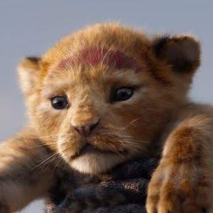 Meet your Posher, Kenneth